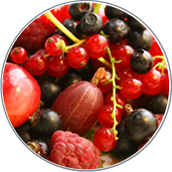 uvas